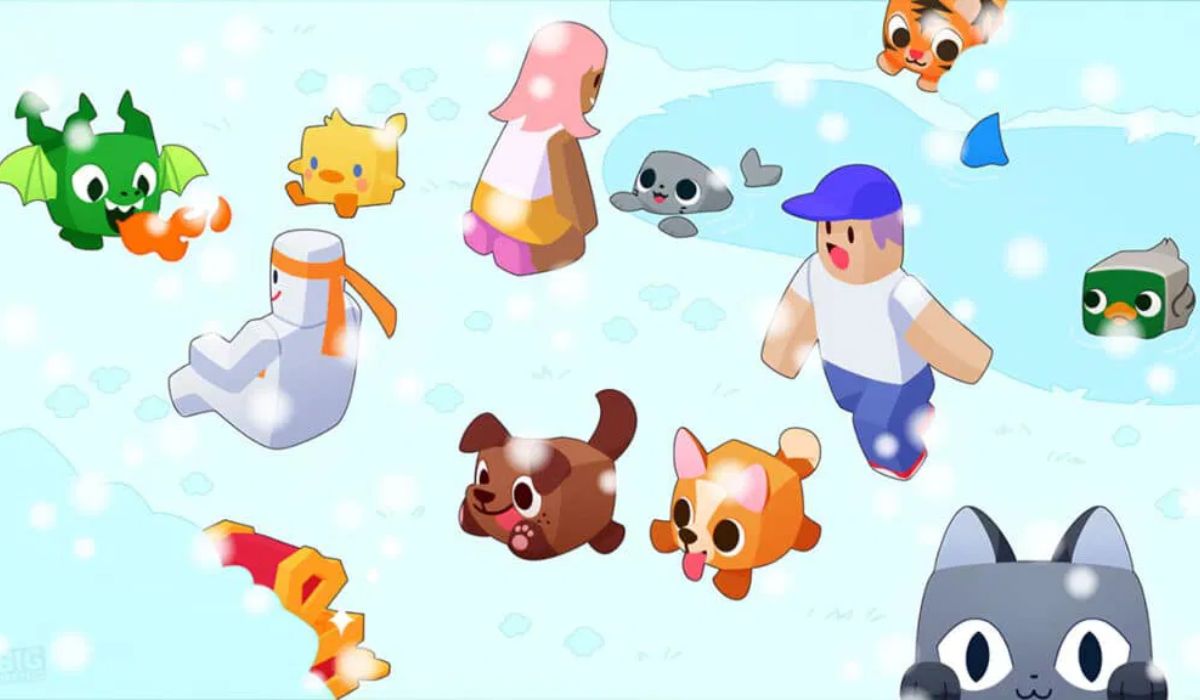 Những lưu ý khi nhập mã code trong game Pets Go